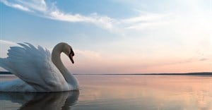 How advertising's ugly duckling has turned into a swan