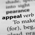 Sanctioned agencies appeal ACA suspension