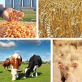 Agri trends: Grains, oilseeds, livestock and fibres
