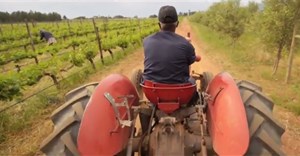 WOSA documentary showcases SA wine industry transformation