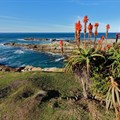 Tourism bodes well for Cape Garden Route and Klein Karoo business