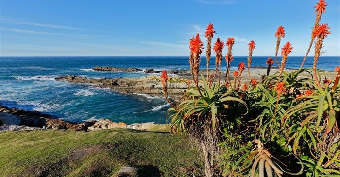 Tourism bodes well for Cape Garden Route and Klein Karoo business