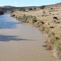 The Tsomo River supplies Xilinxa Dam and Gcuwa Dam in Mnquma municipality. The dams are dangerously low. Photo: Mbulelo Sisulu