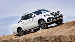 New models likely to raise sales record