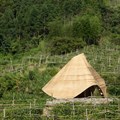Students explore bamboo as sustainable alternative to conventional building