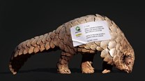 ‘See the animal behind the commodity’ campaign