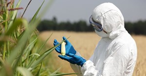 Long-overdue GMO testing laboratory to be established
