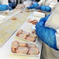 SA's poultry industry under attack by global organisation