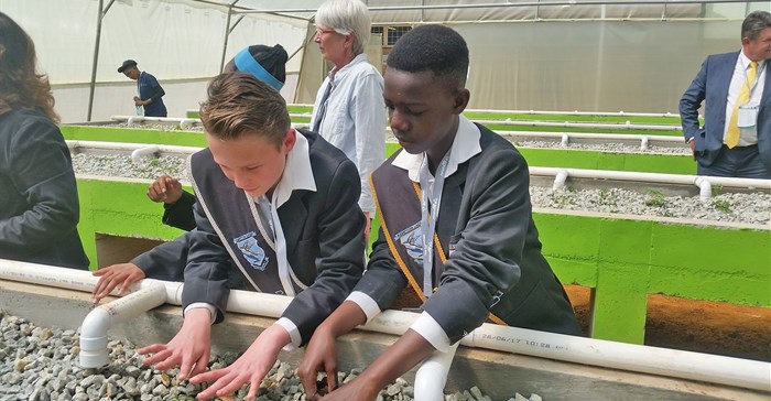 Students plant seedlings in their new aquaponics garden at Laerskool Kempton Park, which was installed by INMED South Africa and Air Products South Africa in Johannesburg.