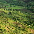 Climate-smart agriculture urgently needed in Africa