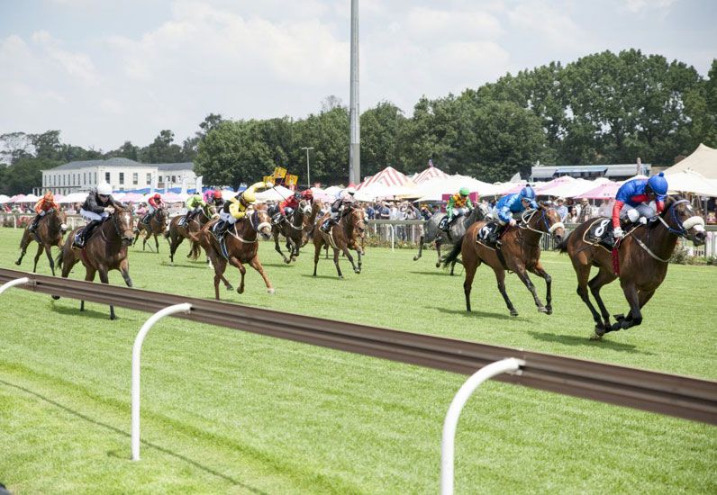 Thrilling racing at the Gauteng SANSUI Summer Cup