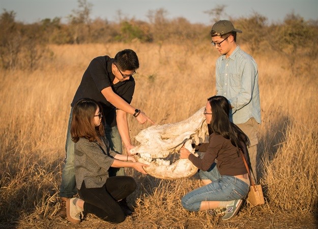 Tongji University students tackle rhino horn demand management in China using design