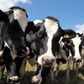 R32m boost for dairy trust