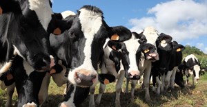 R32m boost for dairy trust