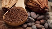 I.Coast freezes cocoa farmer prices due to falling rates