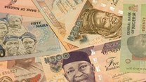 Nigerians spent $3bn annually on foreign goods - MAN