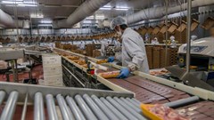 Avian flu may spread via aerosol and droplets