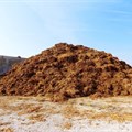 Polluted chicken muck piling up in The Netherlands