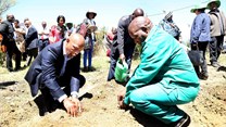 Minister Senzeni Zokwana, MEC Oupa Khoabane planting a food garden during household visits in Phuthaditjhaba