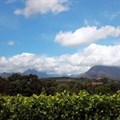 Seven ways wine farms can protect SA's natural resources
