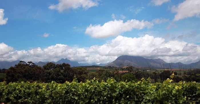 Seven ways wine farms can protect SA's natural resources