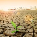 Call for climate change health funding