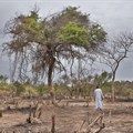 $129bn in extreme weather losses last year