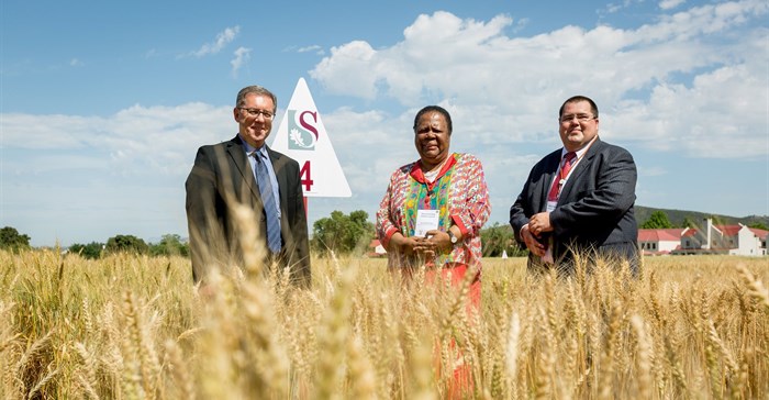 From left: Prof Eugene Cloete (vice-rector: research, innovation and postgraduate studies of Stellenbosch University), the Minister of Science and Technology, Naledi Pandor, and Willem Botes (research leader of Stellenbosch University’s Plant Breeding Laboratory). Photo: Stefan Els