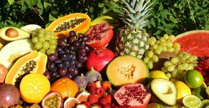 Global food import bill set to rise, boost in tropical fruit exports likely
