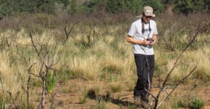 Stellenbosch University student Alistair Galloway on one of his field trips during the course of his research work. (Image Supplied)