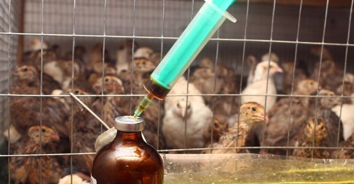Efforts to tackle AMR on farms and in food systems gaining momentum