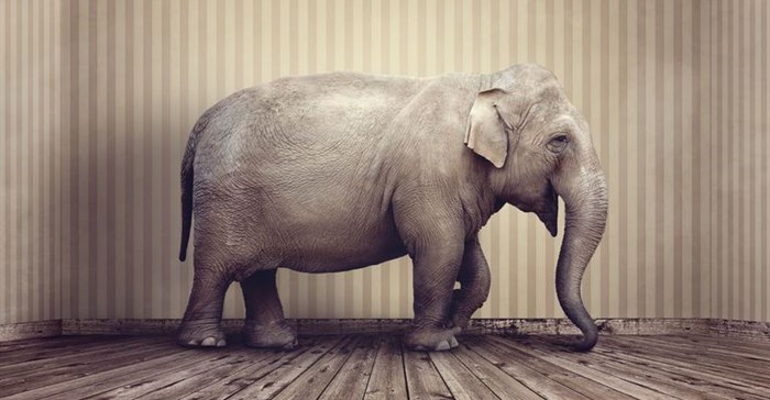 #FMAdFocus2017: The elephant in the room - The role of digital