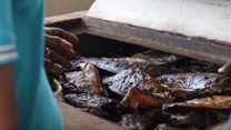 New fish-smoking tech first introduced in Africa launched in Asia