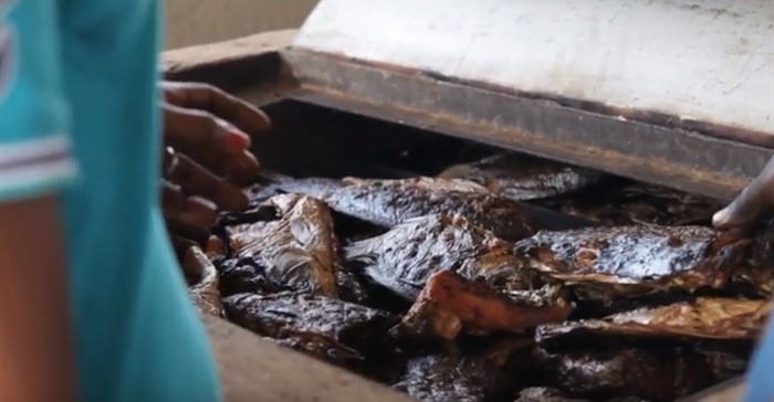 New fish-smoking tech first introduced in Africa launched in Asia