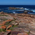 Ten snorkelling spots to visit along South Africa's coastline