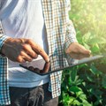 Smart data yields big harvests to feed the world