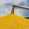 SA Competition Tribunal approves acquisition of maize milling companies
