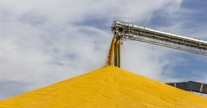 SA Competition Tribunal approves acquisition of maize milling companies