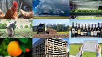 #BestofBiz 2017: Agriculture