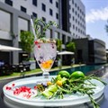 Protea Fire & Ice Hotels create movement around G&T trend