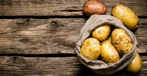 Farmers in dilemma as potato prices drop