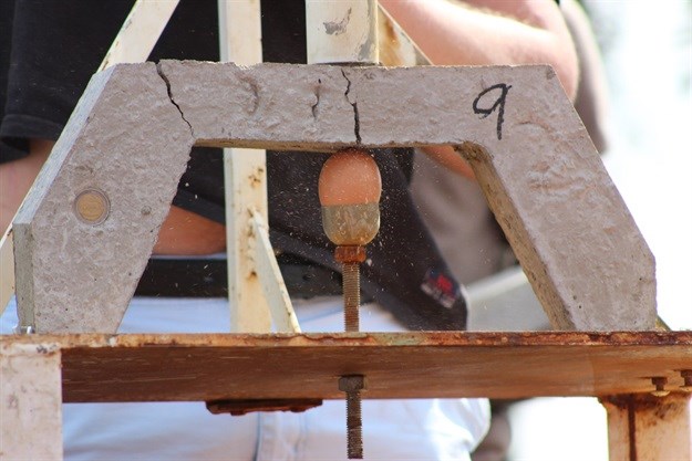 An egg protection device.
