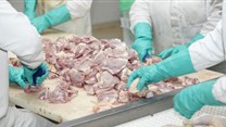 Government accused of overzealous‚ harmful imported meat testing