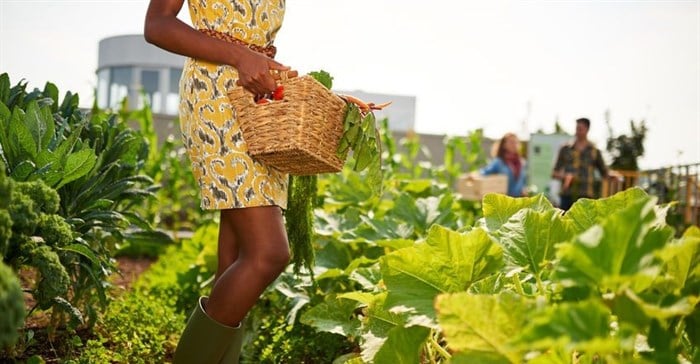 #BizTrends2018: Why education is the next big trend in African agriculture