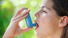 Researchers identify gene linked with lower asthma risk
