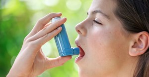 Researchers identify gene linked with lower asthma risk