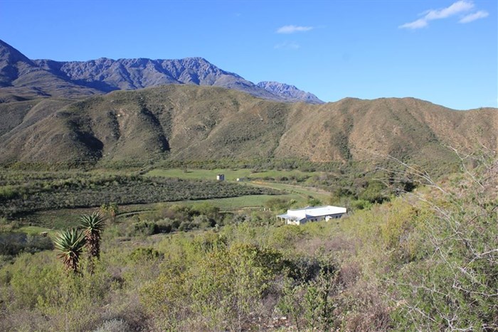 A road trip from the Garden Route to the Klein Karoo
