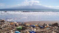 EU sets 2030 target for recyclable plastic packaging