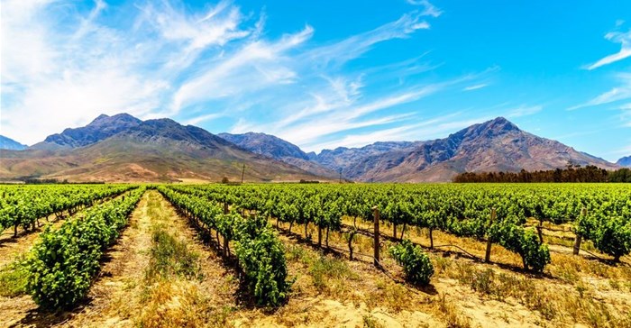 Paarl Tourism, Paarl Wine Route merges into one brand