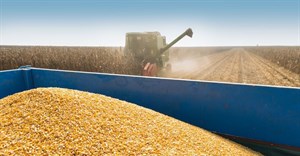 SA maize: Possible exportable surpluses